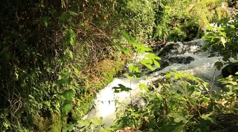 Waterfall Closeup Stock Footage 65841304