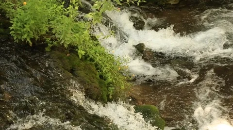 Waterfall CloseUp In Jungle Stock Footage 65841601