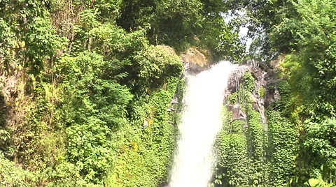 Waterfall closeup in the rain forest in Bali Stock Footage 41380502