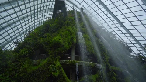 Waterfall the cloud forest dome close up view Stock Footage 116554308