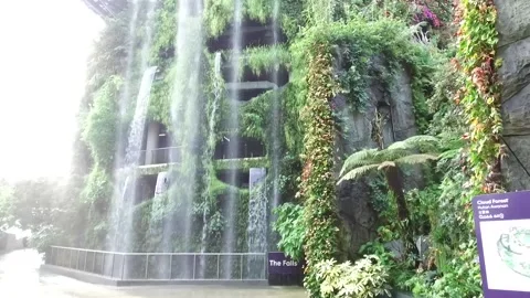 Waterfall in Cloud forest Dome, Gardens by the Bay, Singapore Stock Footage 131226023