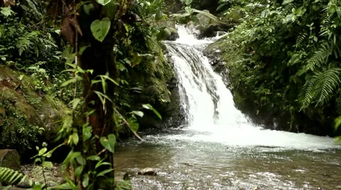 Waterfall in cloud forest Stock Footage 21996931
