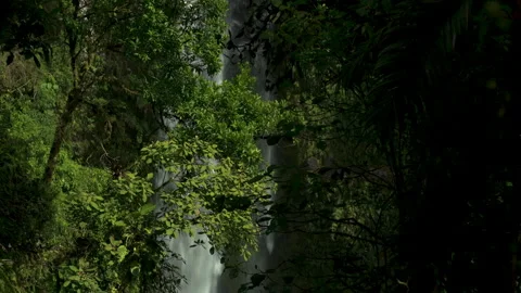 Waterfall in the cloud forest Stock Footage 153428428