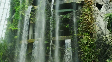 Waterfall in the Cloud Forest in Gardens by the Bay Video stock 64094302
