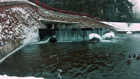 Waterfall on coast. 動画素材 169131191