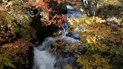 Waterfall with colorful autumn tree leaf Stock-Footage 104520428