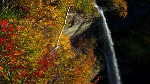 Waterfall in colorful fall landscape Stock Footage 141609836