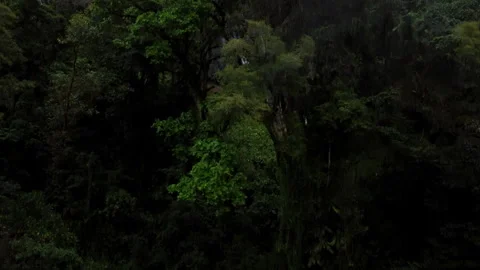 Waterfall Costa Rica Stock Footage 297427630