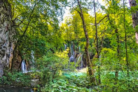 Waterfall covered by Beech trees at Plitvice Lakes National Park Foto stock