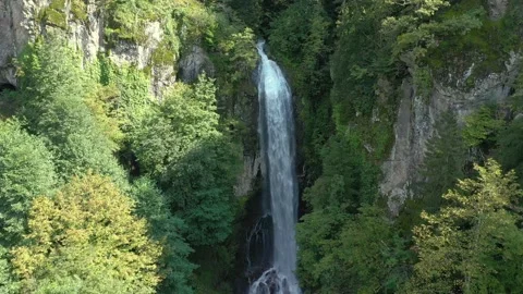 Waterfall Crane Up Stockbeeldmateriaal 164549491