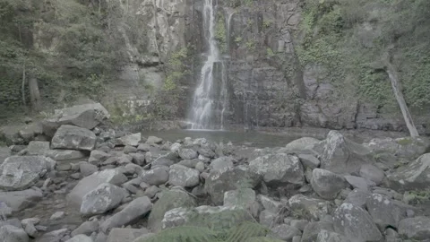 WATERFALL CRANE SHOT. SLOW MOTION. MINNAMURRA. AUSTRALIA. Stock Footage 317605489