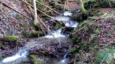 The waterfall on a creek in forest Stock Footage 46272279
