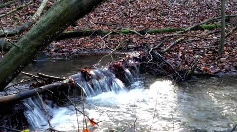The waterfall on a creek in forest Stock Footage 46272657