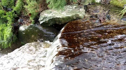 The waterfall on a creek in forest Vídeos de archivo 46272843