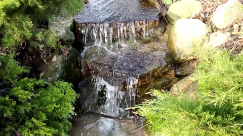 The waterfall on a creek in forest Video stock 46272850