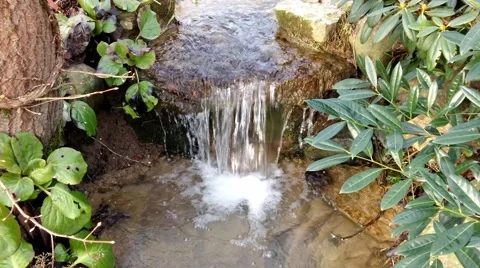 The waterfall on a creek in forest Video stock 46272927