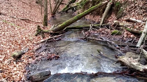 The waterfall on a creek in forest Vídeos de archivo 46273401