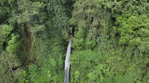 Waterfall crest descend 스톡 동영상 329883987