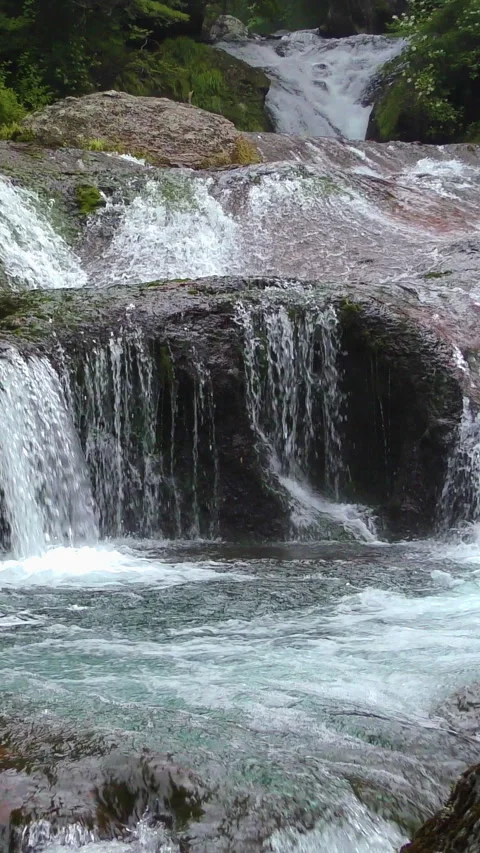 Waterfall Curtain Into Turquoise Rapids Vertical Video Vidéo 346192201