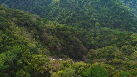Waterfall cutting through dense green jungle in the mountains of Costa Rica Video stock 315659973
