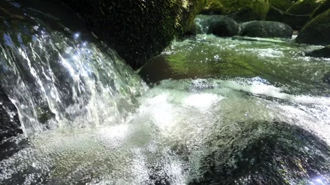 Waterfall: A Dance of Light in the Mixed Deciduous-Coniferous Forest Stock Footage 308322032