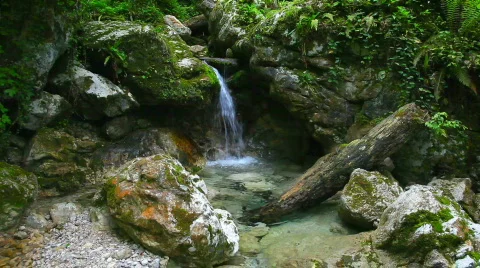 Waterfall in deep forest Stock-Footage 725358