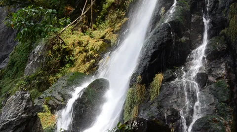 Waterfall in deep forest. Stock Footage 44234533