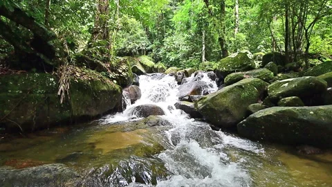 Waterfall in deep forest Vidéo 131766116