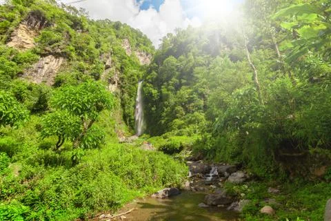 Waterfall in deep forest near 写真素材