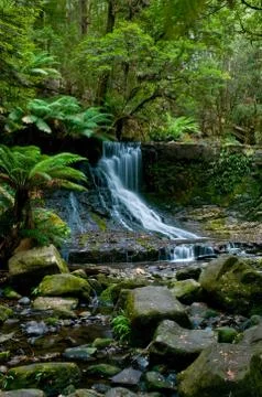 Waterfall in deep forest Stock Photos