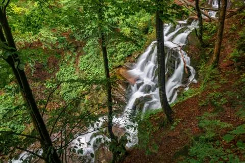 Waterfall in the deep forest. 스톡 사진