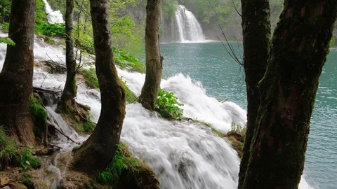 Waterfall deep in the forest at Plivice lakes natural reserve in Croatia Stock Footage 89790867