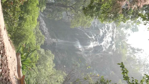 Waterfall in deep forest, slow motion 4K. Stock Footage 239969276