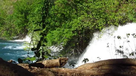 Waterfall in deep forest. Water falling into pond. Stock Footage 64559469