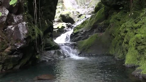 Waterfall in deep green forest Stock Footage 54054572