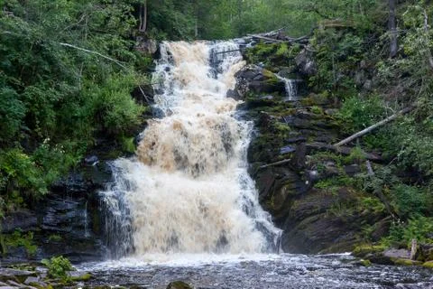 Waterfall in deep green forest Stock Photos