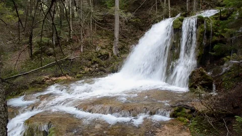 Waterfall deep in green forest at spring Stock Footage 88509037