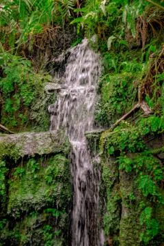 Waterfall in the deep jungle Stock Photos