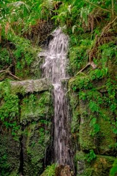 Waterfall in the deep jungle Stock Photos