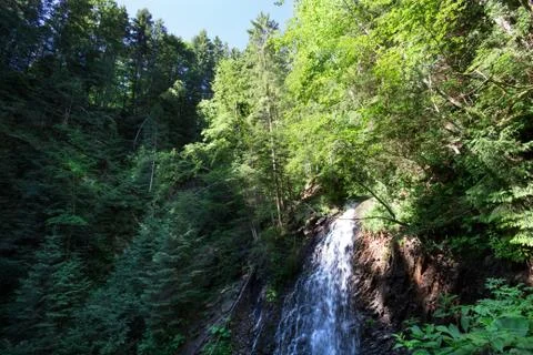 Waterfall in deep moss forest, clean and fresh in Carpathians, Ukraine. Stock Photos