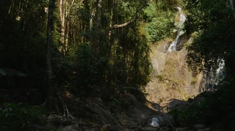 Waterfall in the deep shady forest Stock Footage 48668108