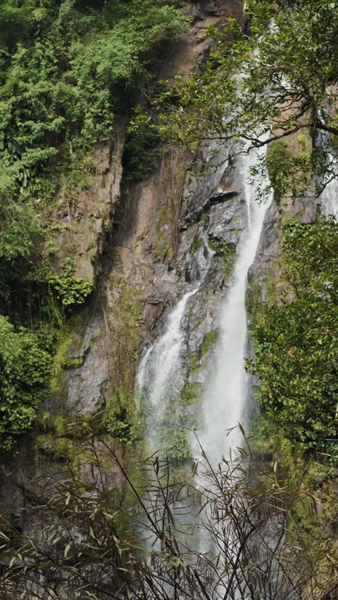 Waterfall in deep tropical rainforest green tree with rock nature landscape Stock Footage 282005211