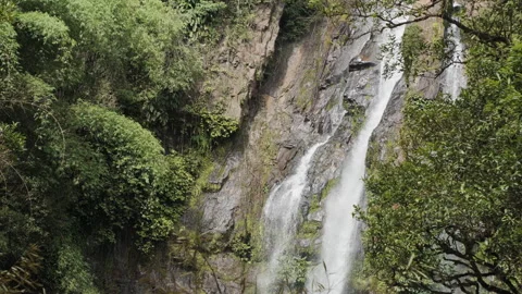 Waterfall in deep tropical rainforest green tree with rock Stock Footage 282005383