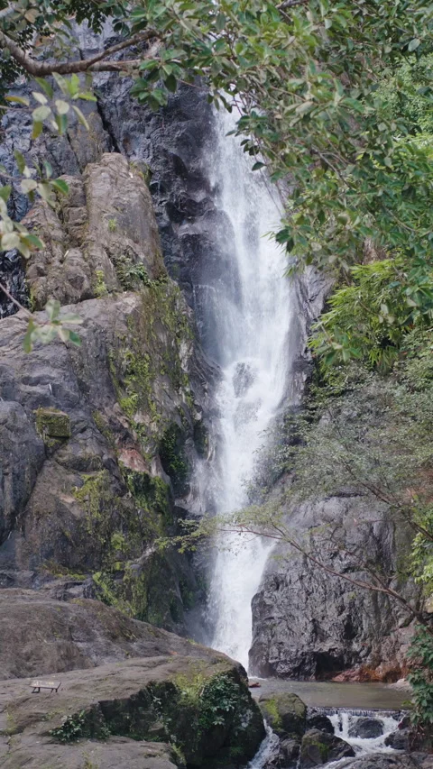 Waterfall in deep tropical rainforest green tree with rock Stock Footage 282005713
