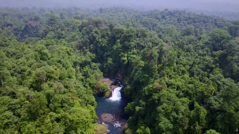 Waterfall in dense forest from drone Stock Footage 299808590