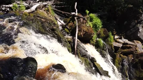 Waterfall in dense forest. mountain river. water flow with splashes Stock Footage 134735377