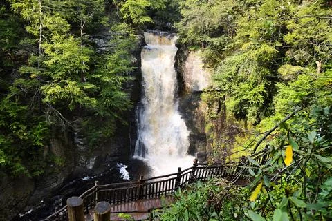Waterfall &amp; Dense Greenery Stock Photos