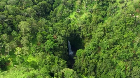 Waterfall in a dense rainforest top view Stock Footage 231382519