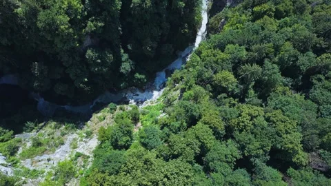 Waterfall Descending Through Dense Alpine Forest Gorge, aerial view Vidéo 334517128