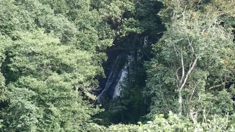 Waterfall in distance Stock Footage 126726362